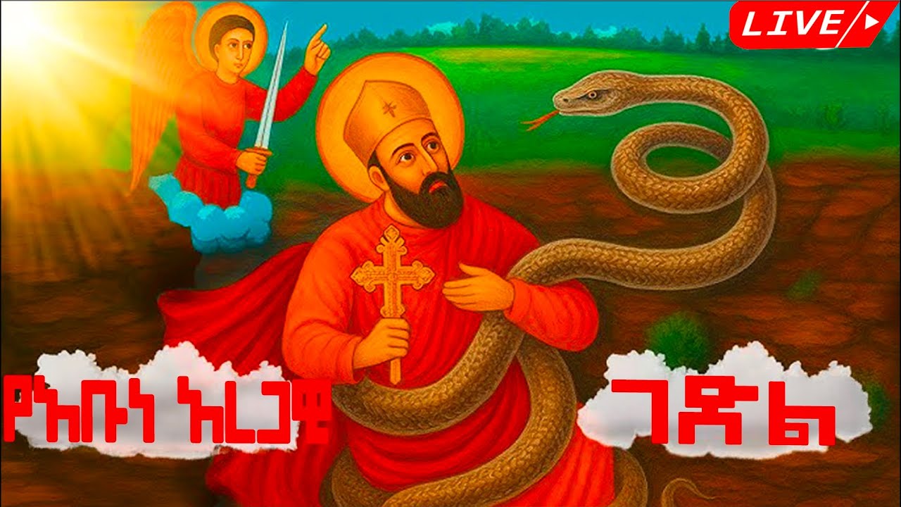 📮 የጻድቁ አቡነ አረጋዊ ገድል ዘውርኃ የካቲት 14 ስንክሳር ድርሳን  @MegabeBerekete#ethiopian #orthodox#dailyprey#saintmary