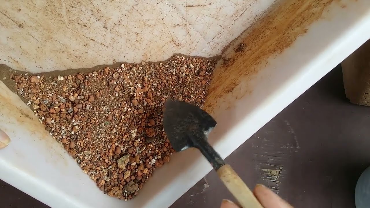 || CAN YOU REUSE THE SOIL WHICH ROTTED YOUR SUCCULENT BY OVERWATERING ||