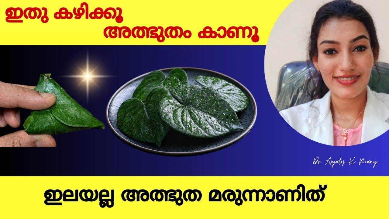 ഇലയല്ല സ്വർണമാണിത് | 1 ഇല തന്നെ ധാരാളം | 100 വയസുവരെ സ്വസ്ഥമായിരിക്കും | Dr Anjaly K Manoj