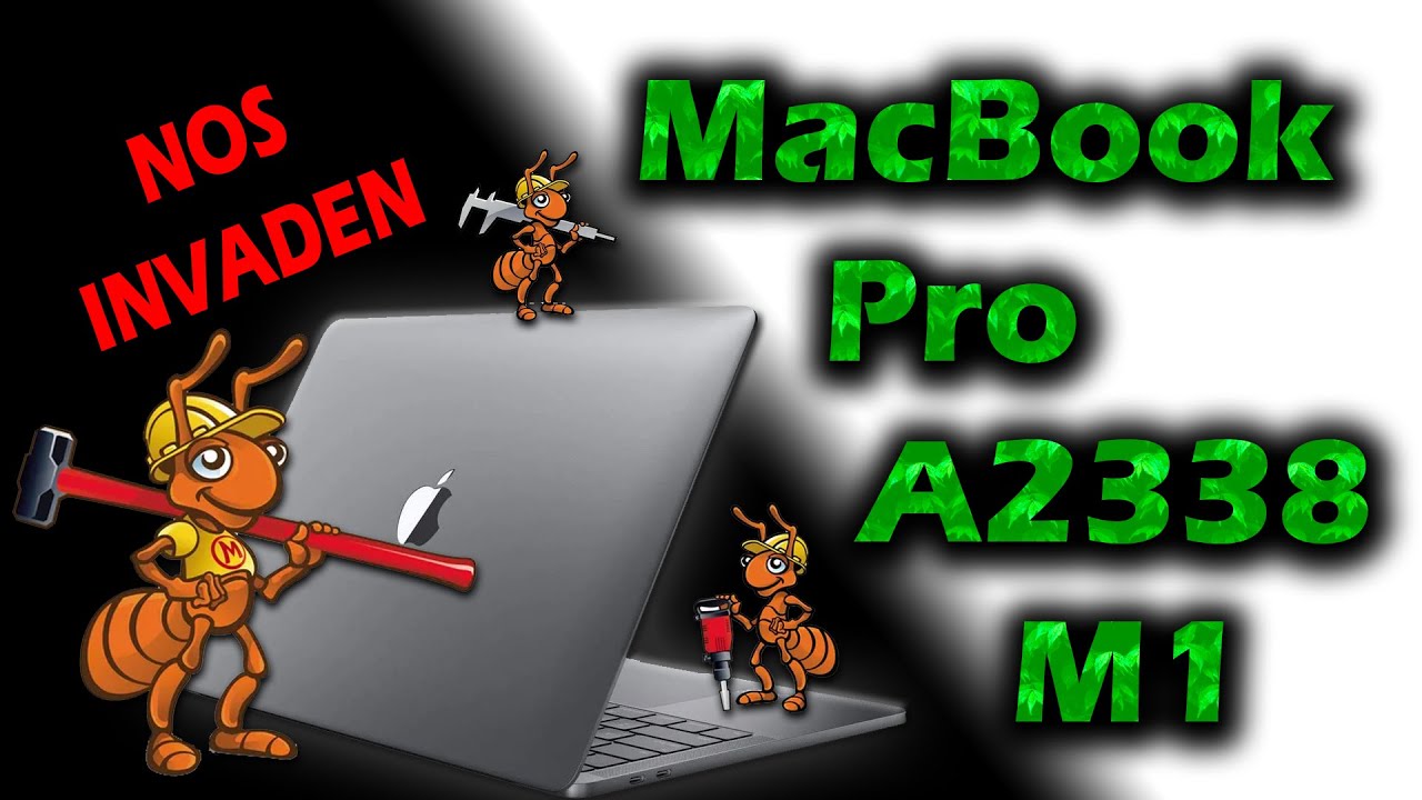Abrir MacBook Pro A2338 M1 con una pequeña invasión de hormigas en su interior, Mantenimiento.