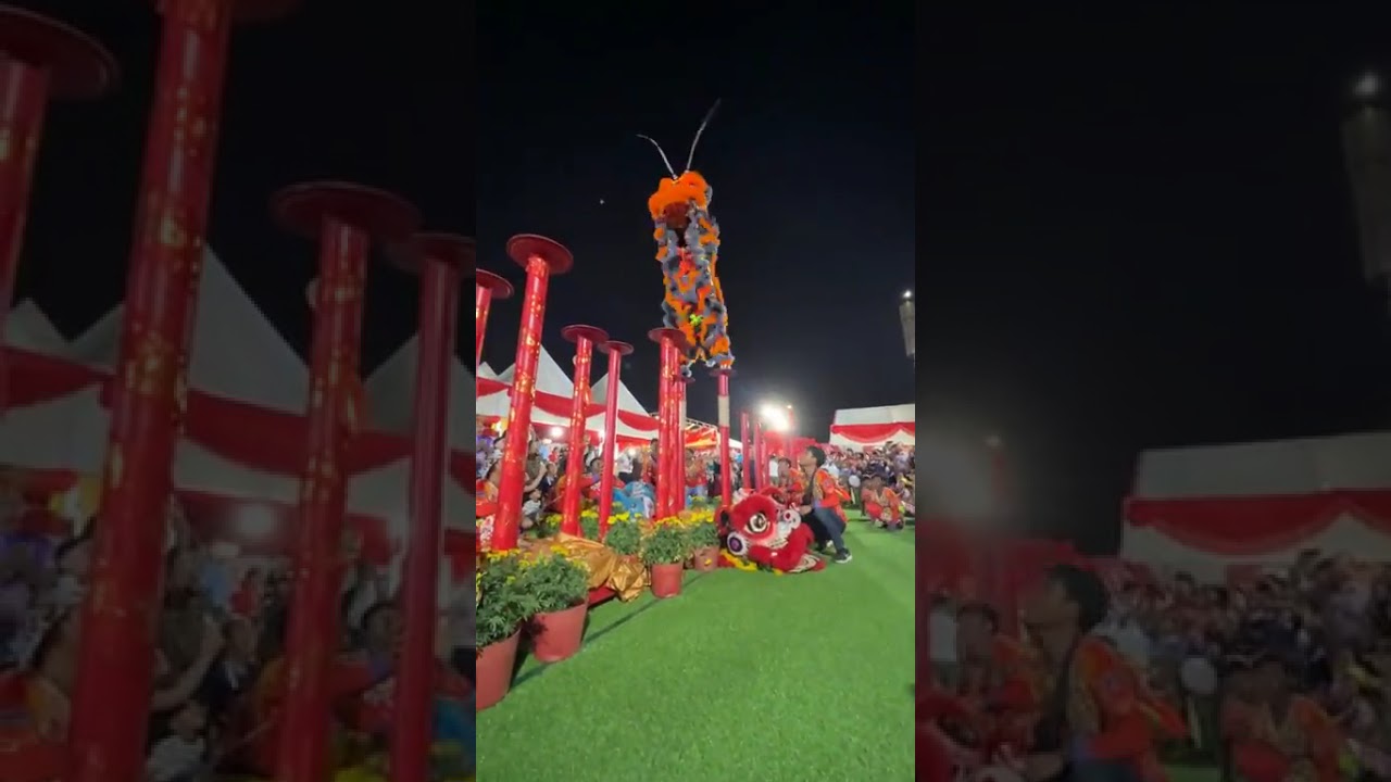 The Lion dance teams #liondance 