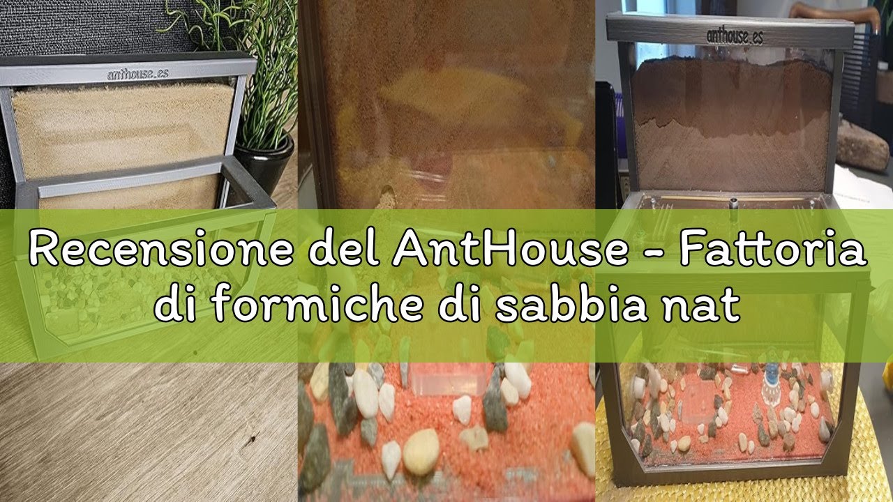 Recensione del AntHouse - Fattoria di formiche di sabbia naturale | Modello L (sandwich + mangiatoia