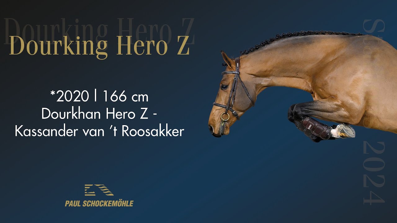 Dourking Hero Z (ENG)