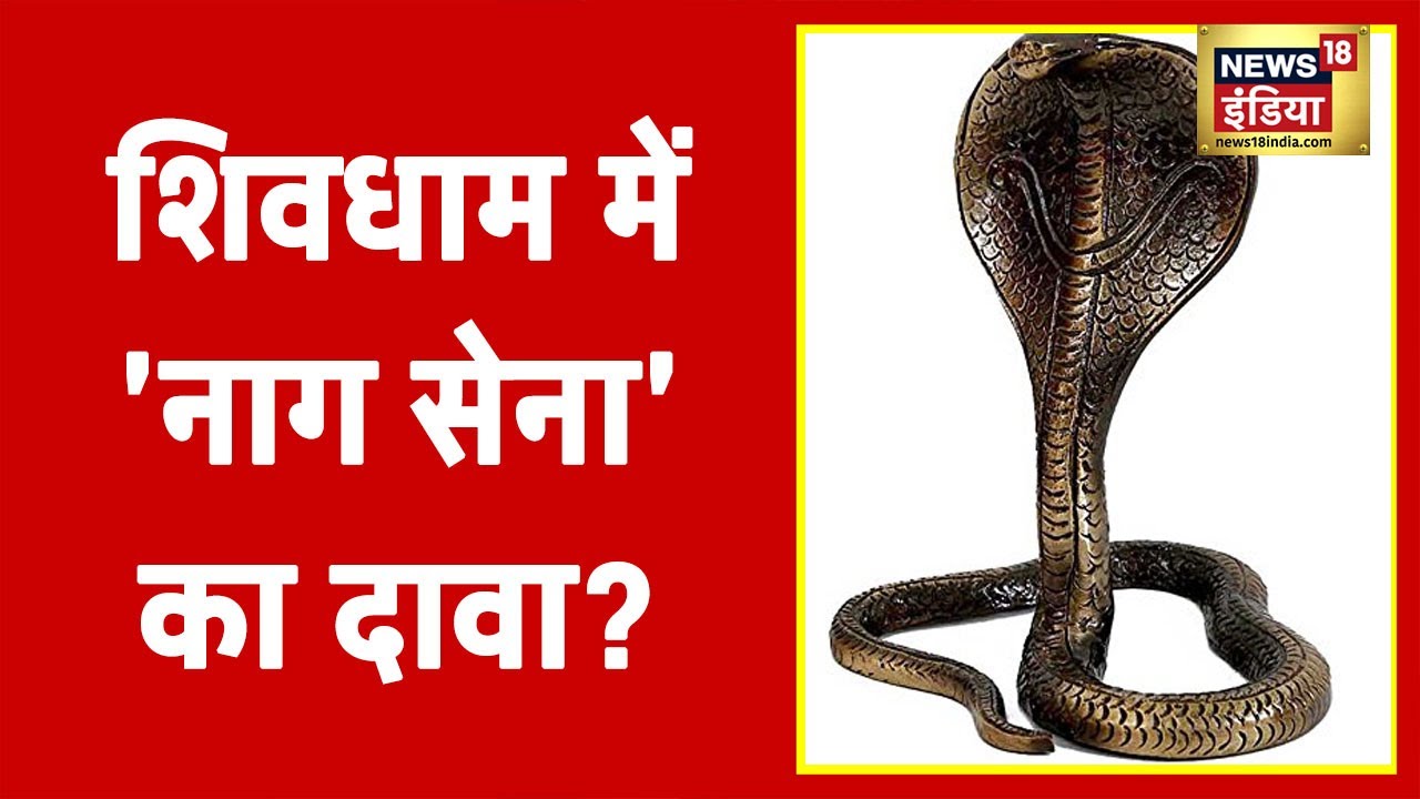 शिवधाम में 'नाग सेना' का दावा? धाम के तहखाने में नागलोक? | Aadhi Haqeeqat Aadha Fasana
