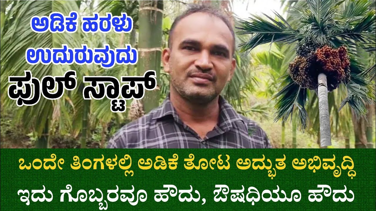 ಅಡಿಕೆ ಹಿಂಗಾರ ಒಣಗುವುದು ಫುಲ್ ಸ್ಟಾಪ್ | ಅಧ್ಬುತ ಆಭಿವೃದ್ಧಿ | 6362160401