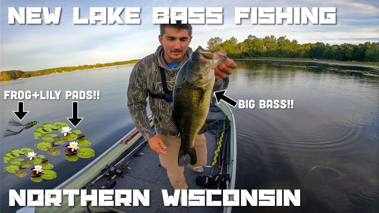 Fishing a NEW Lake for BIG Summer Bass with the Topwater Frog-Early Morning Action (8-17-2025)
