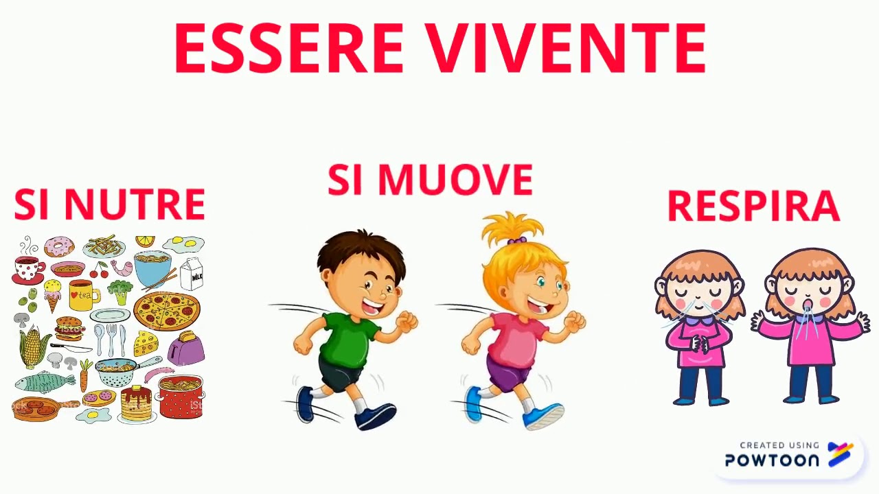 ESSERI VIVENTI E NON VIVENTI