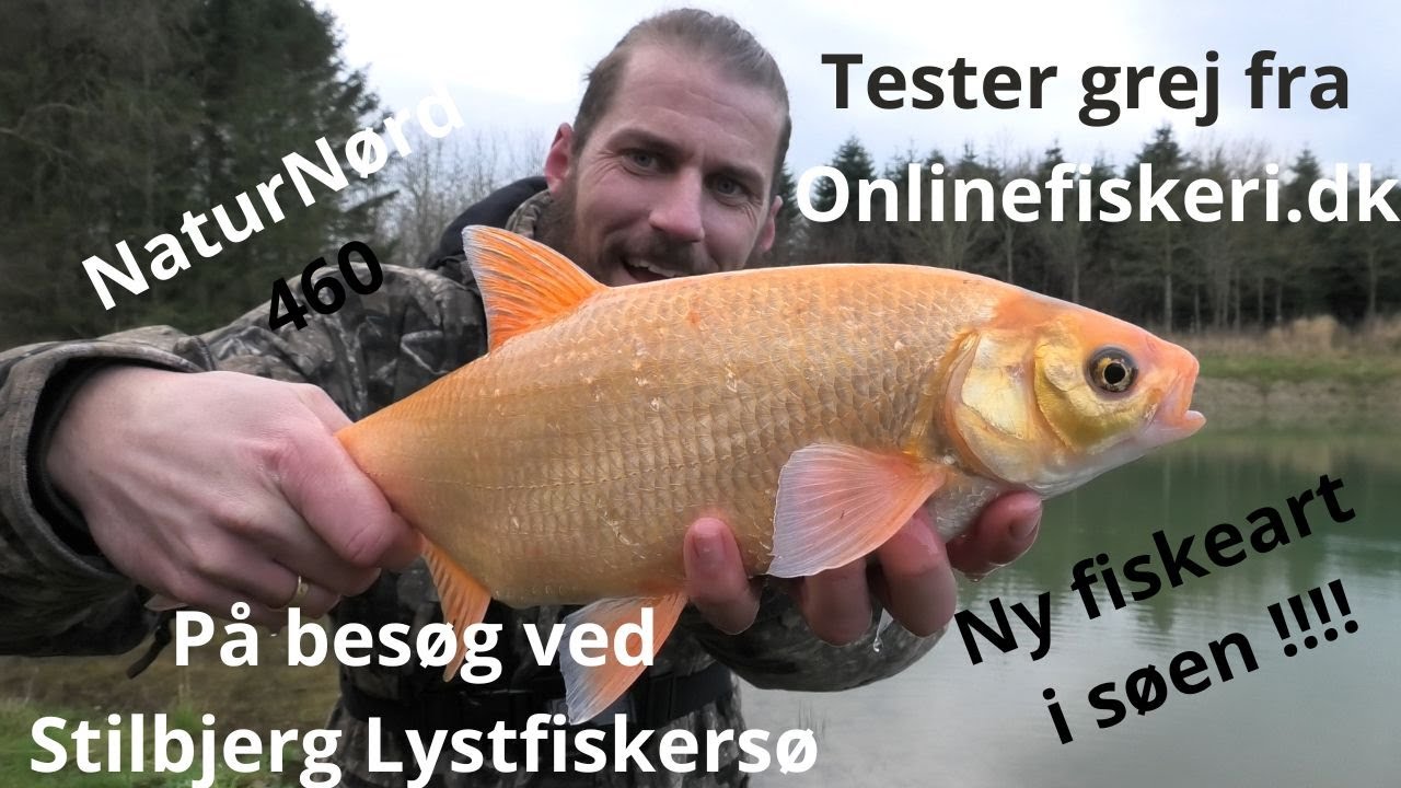 Fanger den flotteste fisk i søen!!!! Tester nyt grej!!! På besøg ved Stilbjerg LystfiskerSø.