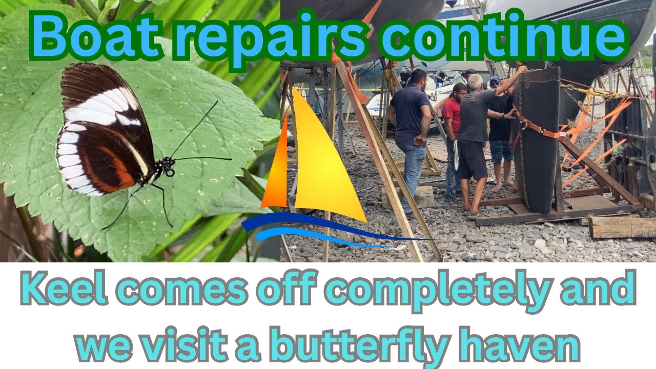 Keel off completely and visit to butterfly haven