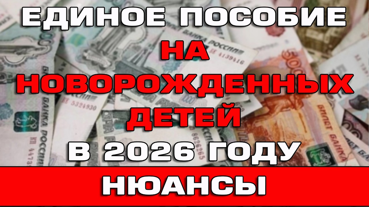 Единое пособие на новорожденных детей в 2026 году Нюансы