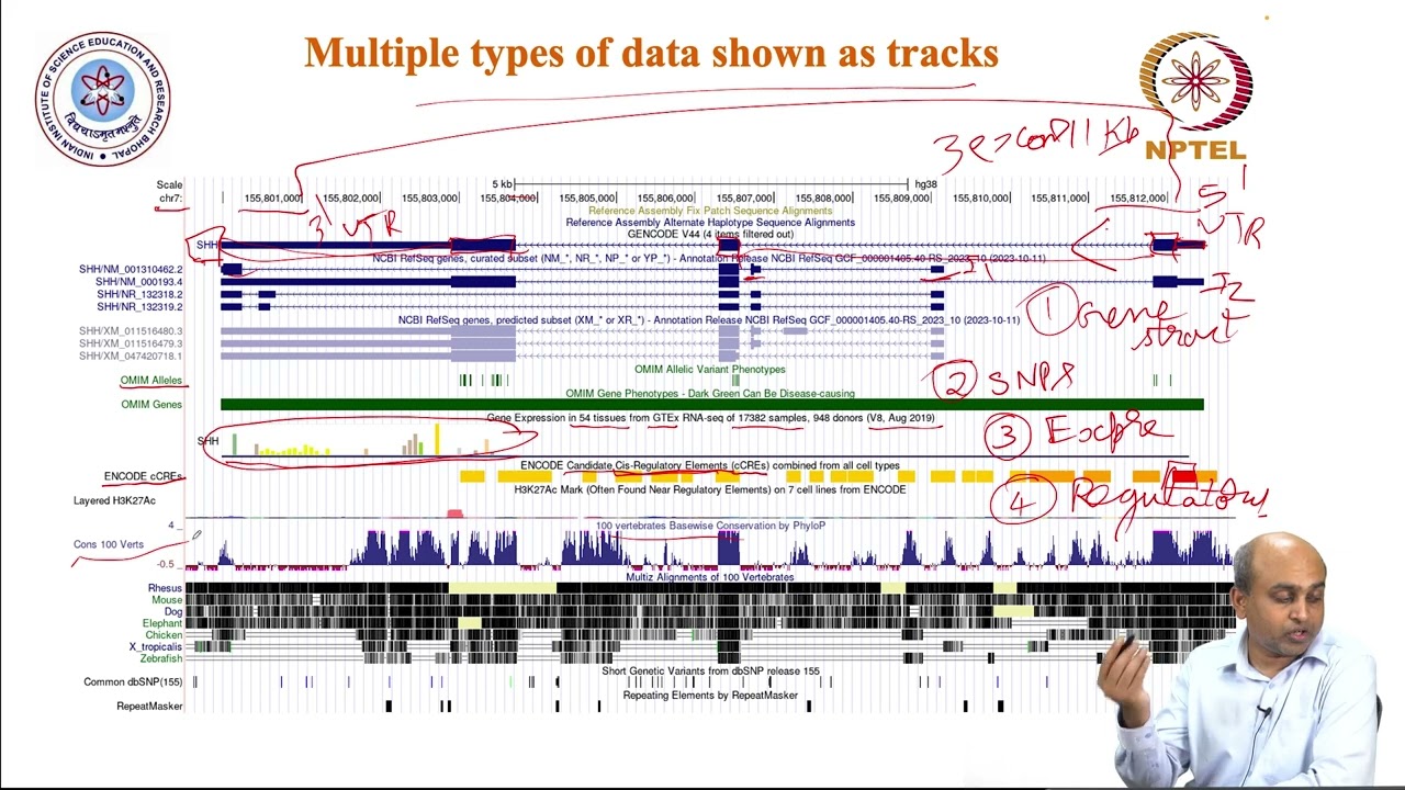UCSC and IGV genome browsers
