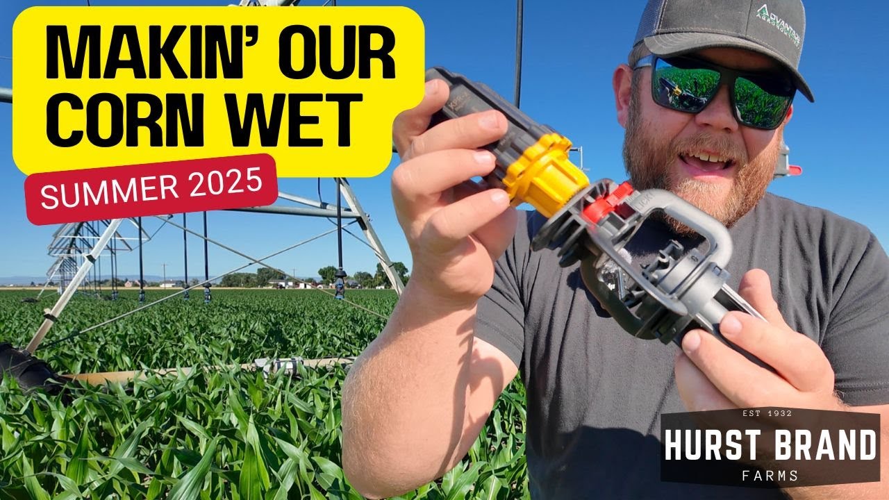 I Swapped My Sprinklers… and My Corn Got (More) Wet! | Hurst Brand Farms