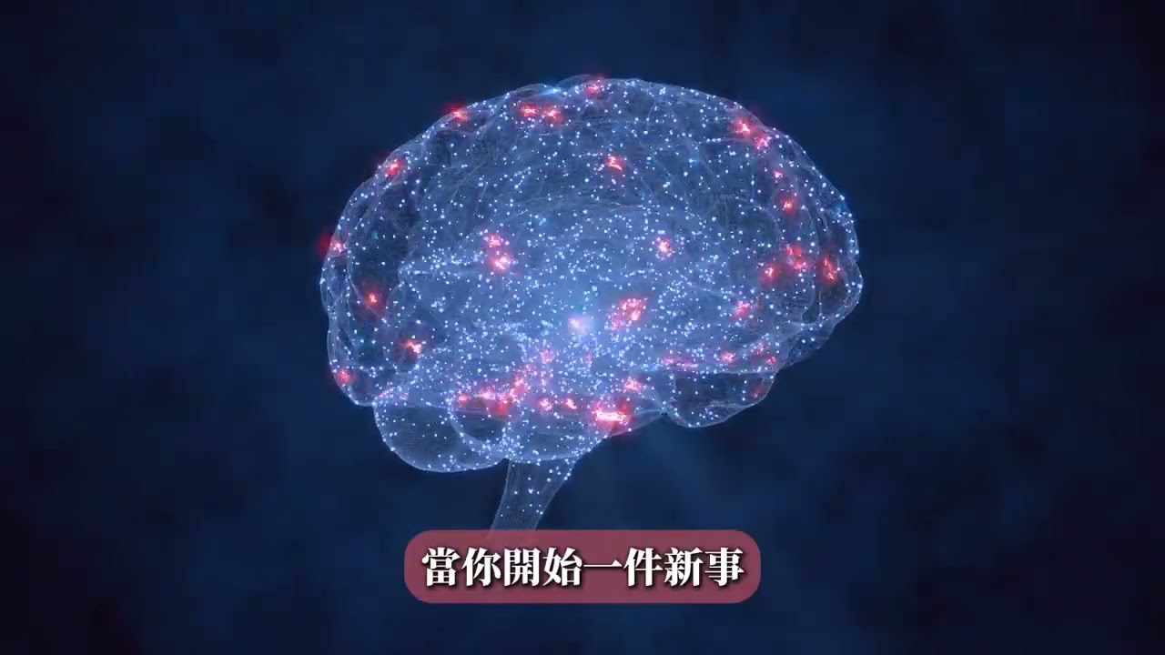 建立習慣的真正秘密不是意志力