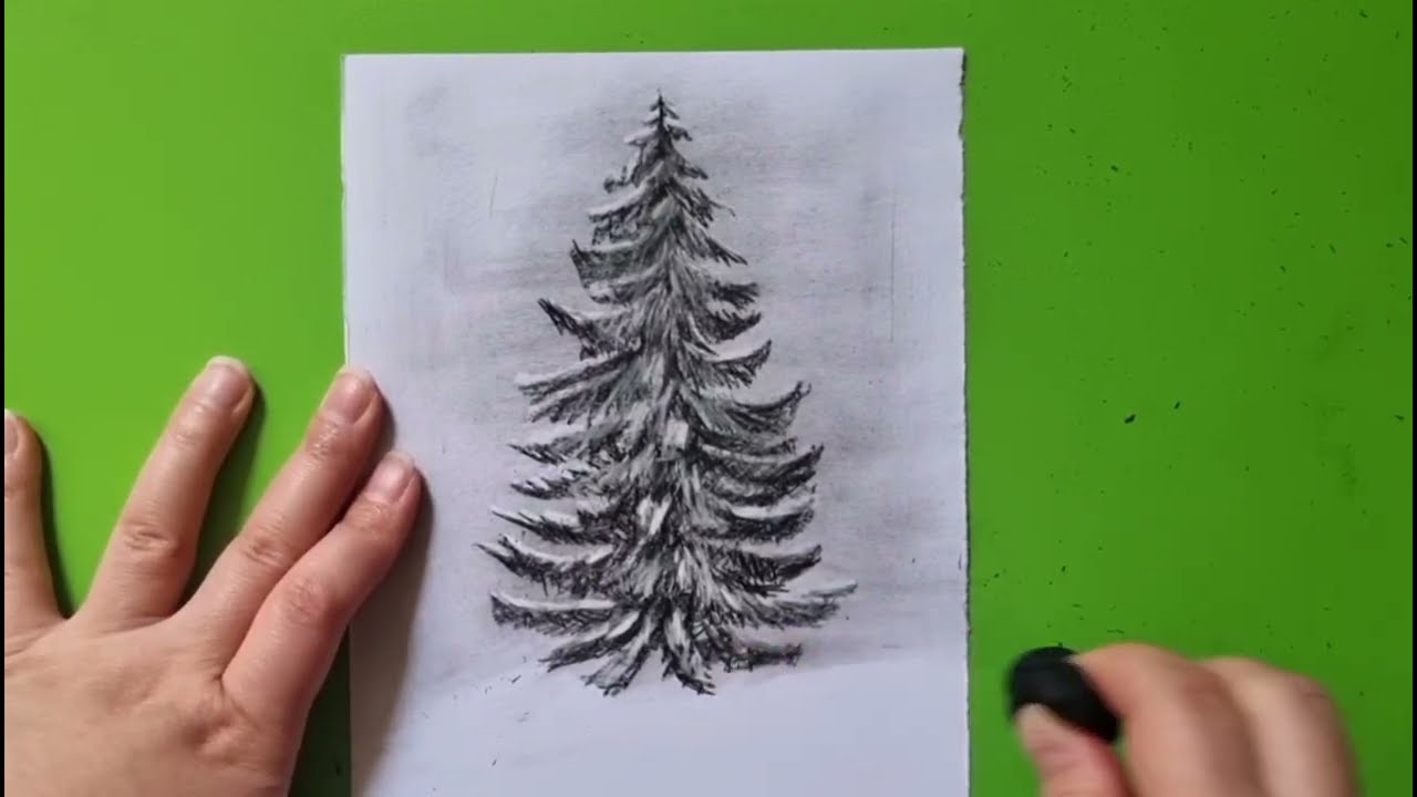 How to Draw a snowy pine tree