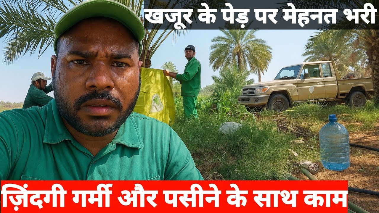 😱😱 खजूर के पेड़ पर मेहनत भरी ज़िंदगी || गर्मी और पसीने के साथ काम| #Junni1z