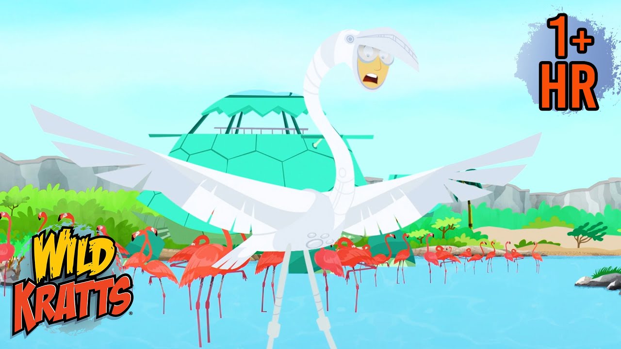 Activate Flamingo Powers! | Where's the Pink? | Creature Transformations | Wild Kratts