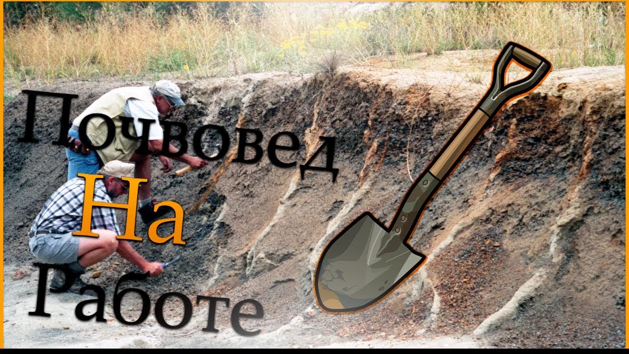 Что делают почвоведы? Почвовед как выбор образования и жизненного пути