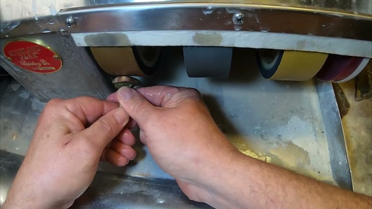 Cabbing a piece of coprolite freeform