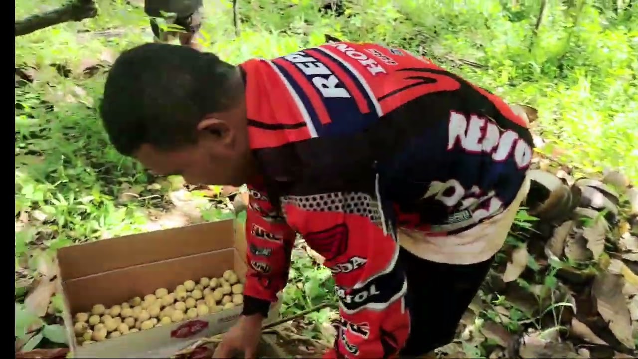 Saan kaya nag punta si LYKA at papa GELO? @PugongByahero #PBTEAM #Lasones #highlights 