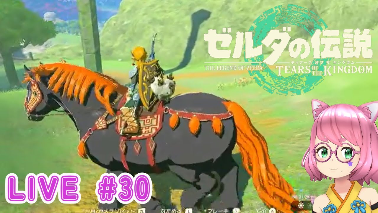 【ゼルダの伝説 ティアーズオブザキングダム】毎回同じようなことしかしてないなぁ #30