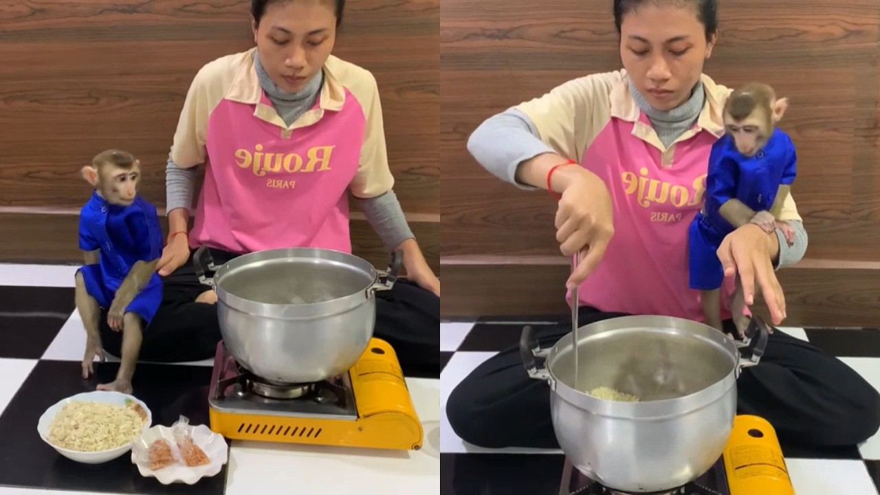 The Cutest Sous Chef! 👨‍🍳 My Pet Monkey Supervises Dinner from My Arm
