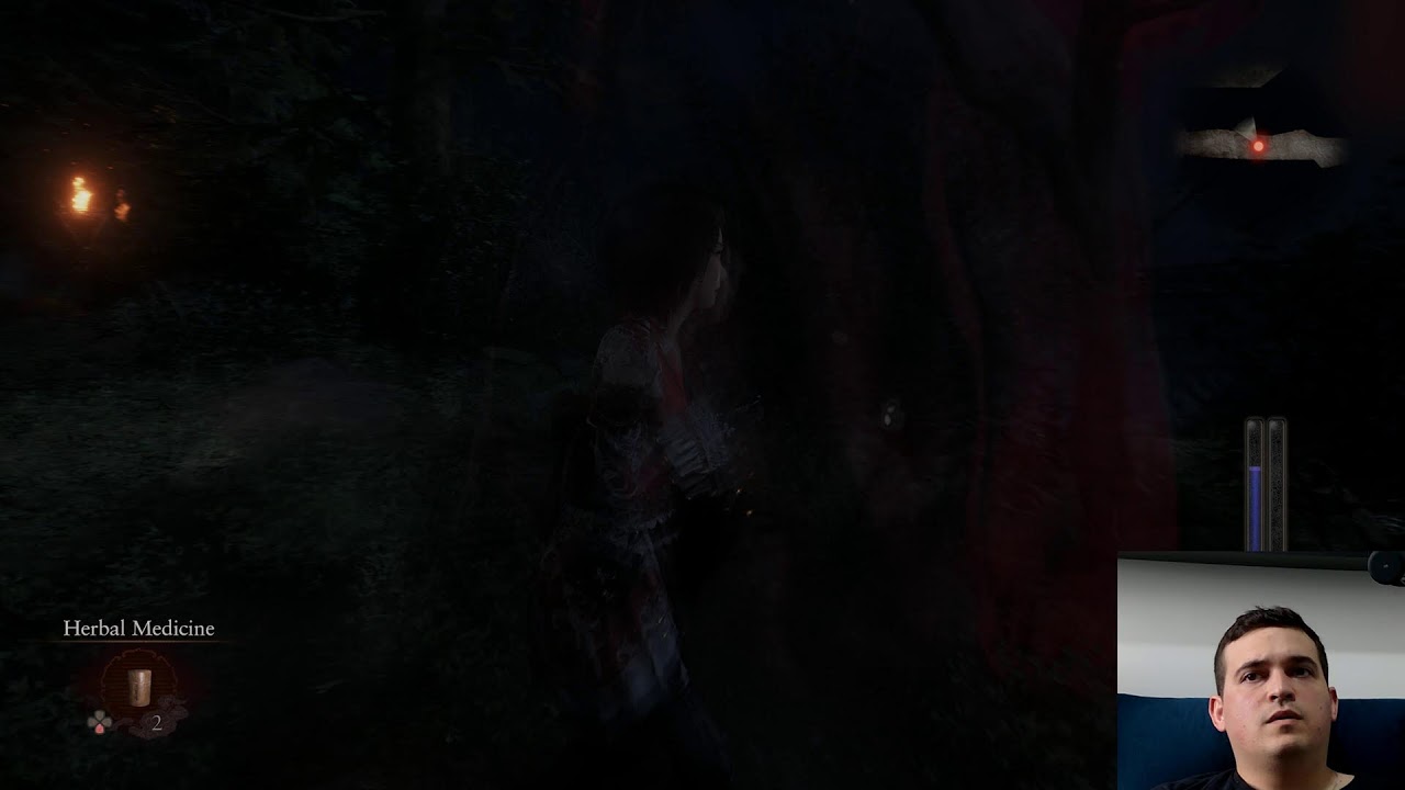 Fata Frame 2 Remake Crimson Butterfly