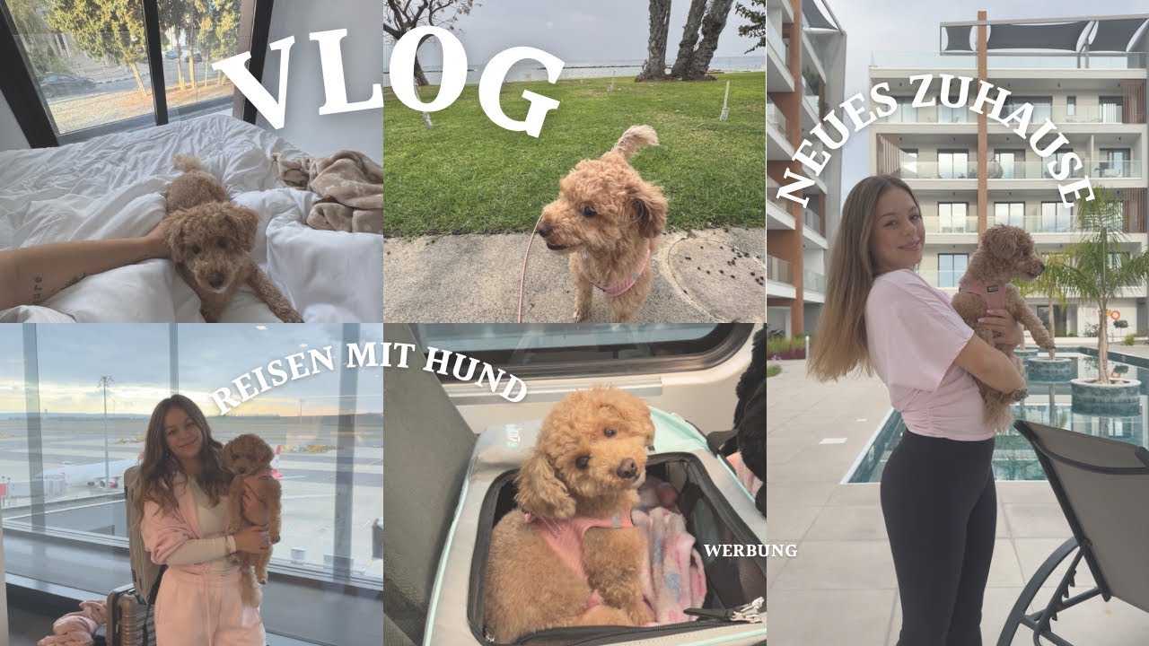 Auswandern & fliegen mit Hund 🐶 Ich teste die Annitaño Hundeflugtasche #werbung 