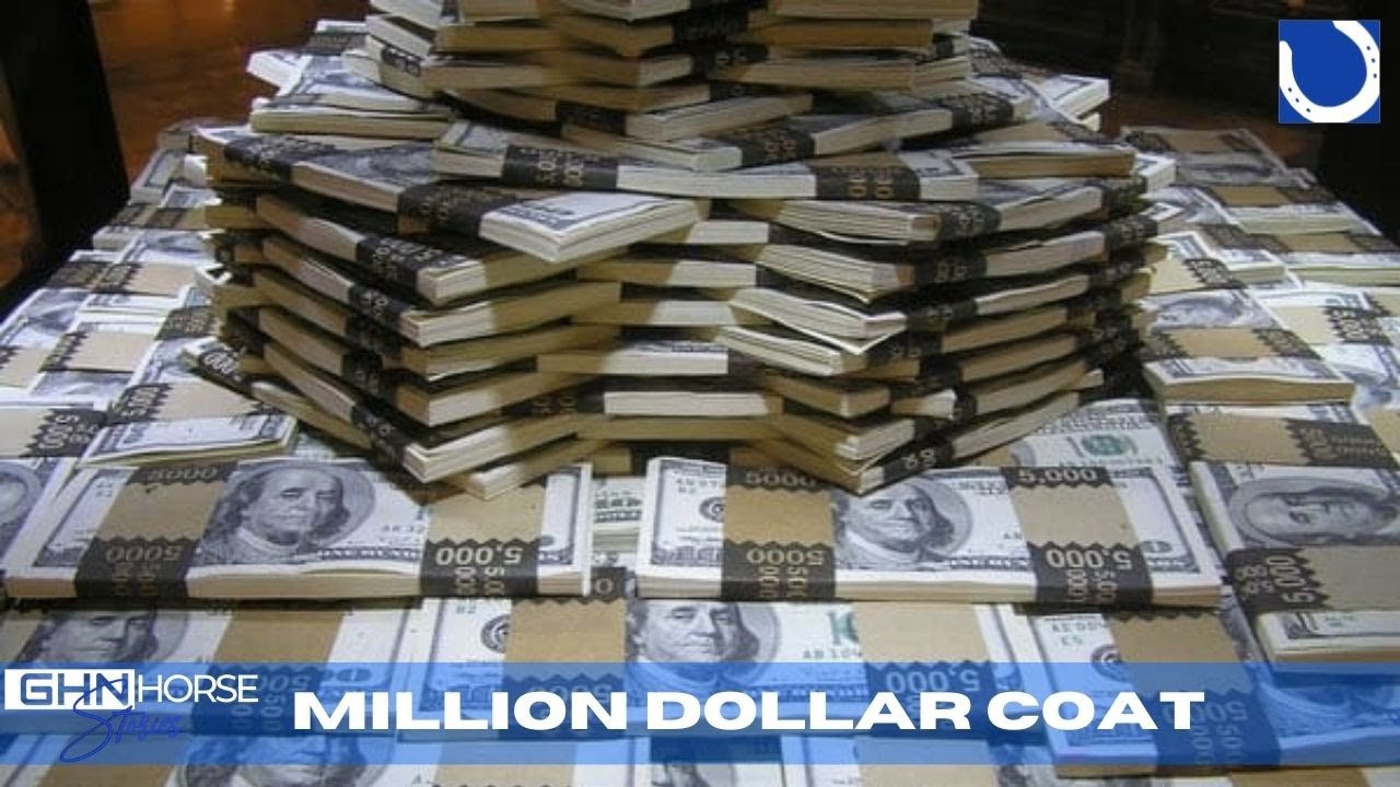 GHN Horse Stories - Million dollar coat