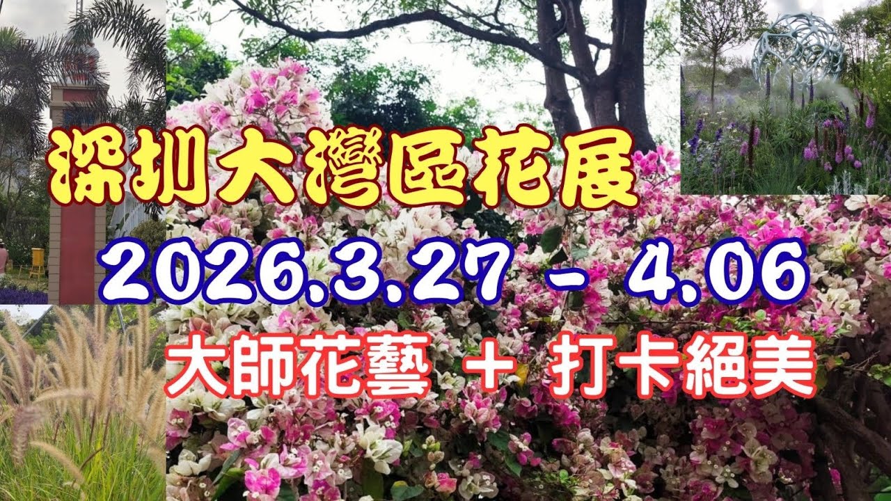 深圳粵港澳大灣區花展｜福田25分鐘直達！免費睇大師級花藝+絕美打卡位｜港人免預約攻略！