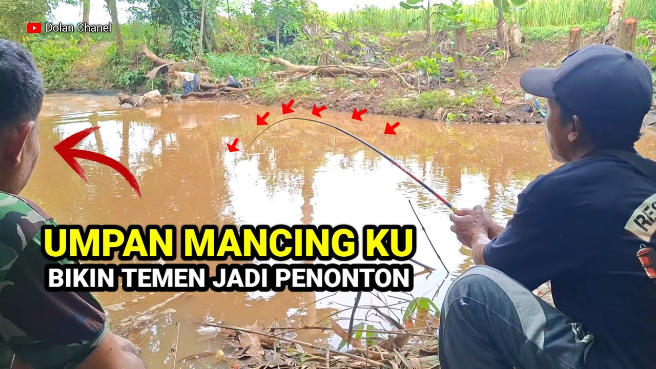 TEMAN KU JADI PENONTON || Umpan Ampuh Untuk Mancing Ikan Di Sungai
