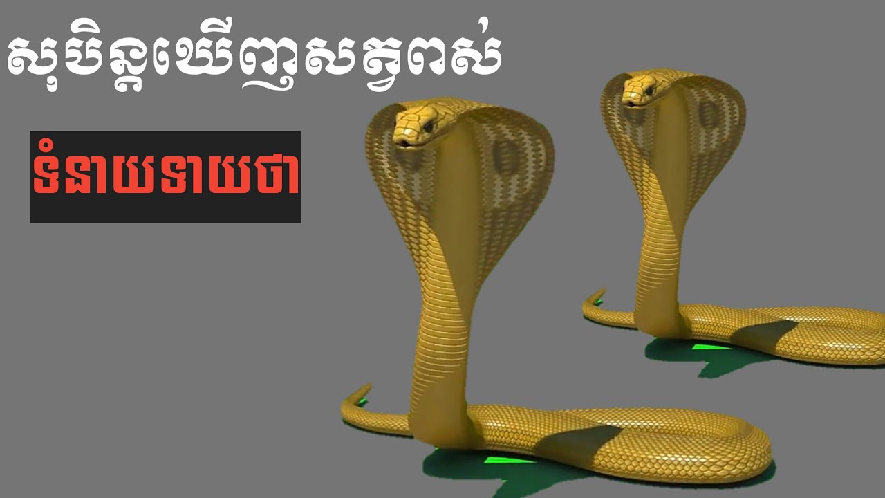 Dream The Snake_សុបិន្តឃើញសត្វពស់_Book of Dream_ by Mr.ZamTony