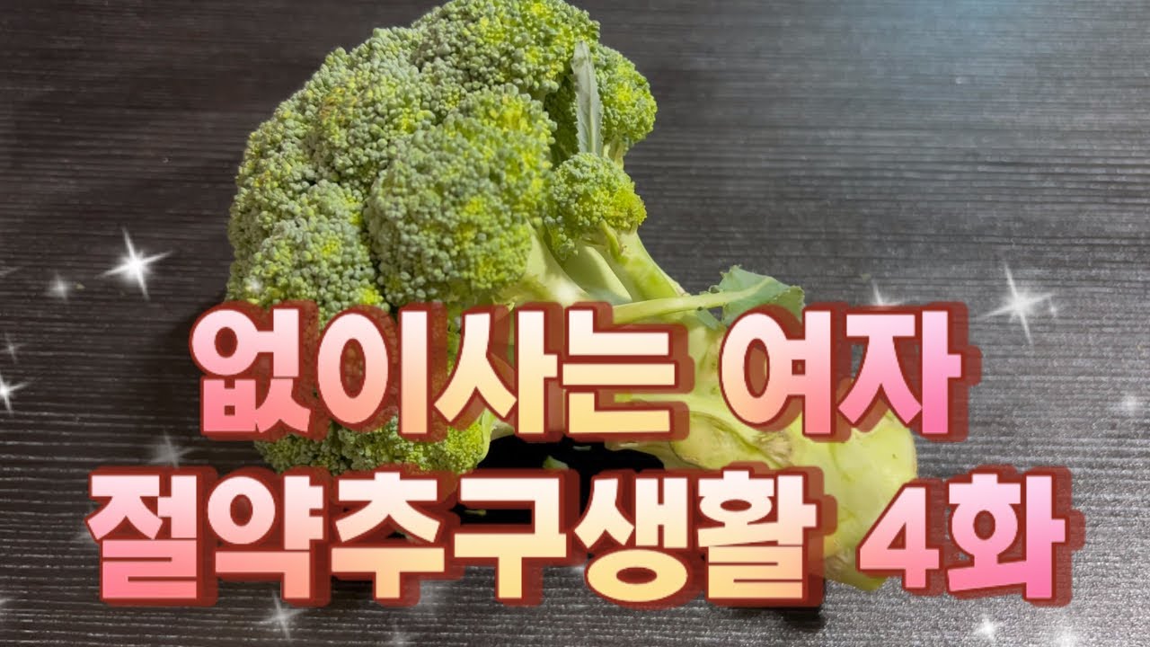 없이사는 여자의 만원의행복 나들이/백수/절약추구생활4화