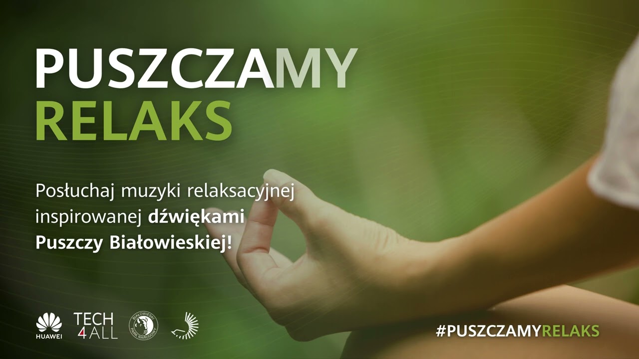 Huawei Polska | Posłuchaj Puszczy | #PUSZCZAMYRELAKS | Muzyka relaksacyjna