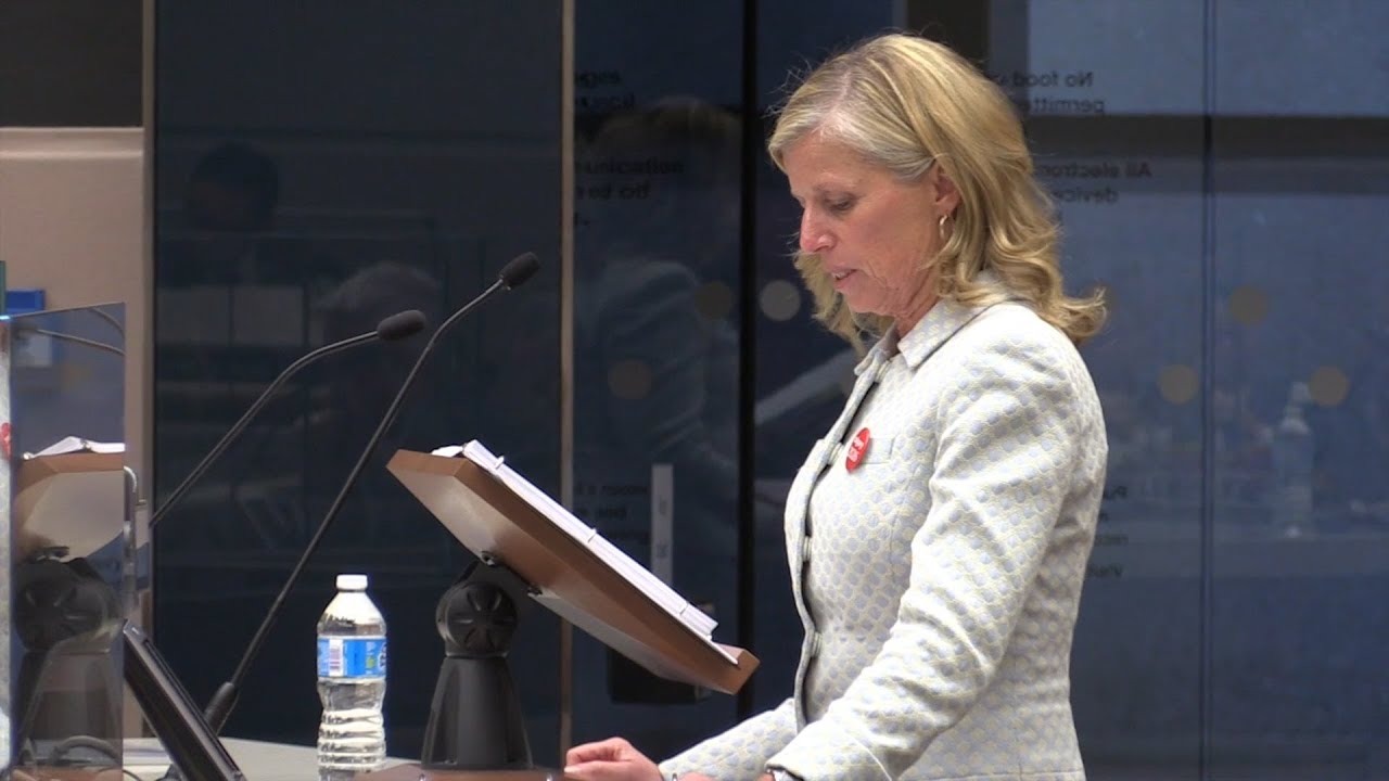 Council hears Olympic bid plan