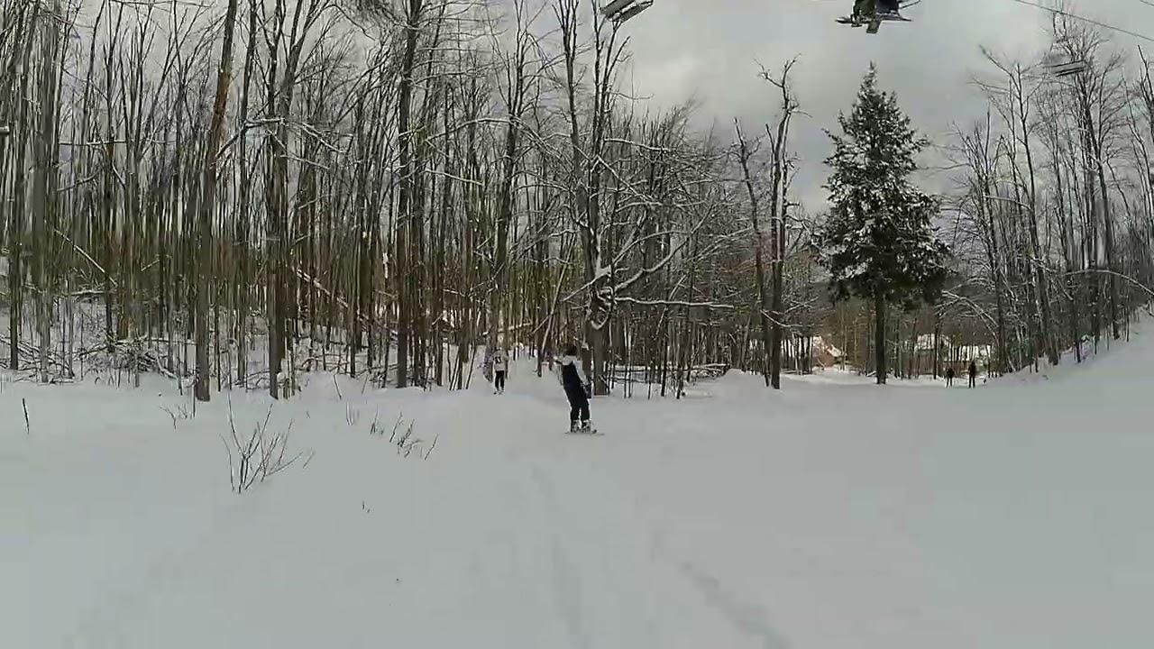 “Gravity” told me to