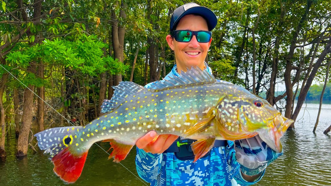 My Quest for GIANT Peacock Bass in the Jungle (Brazil)