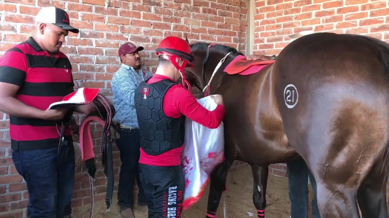 El Chocolate Vs El Gringo