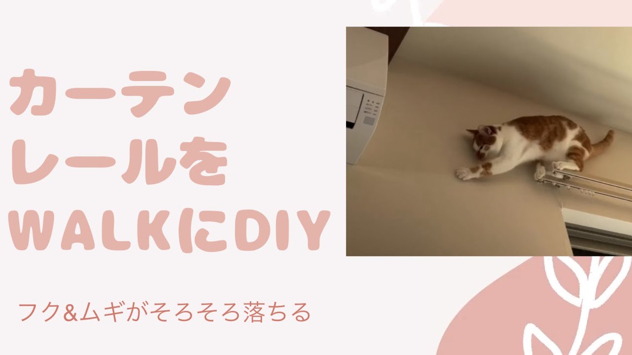 【フクムギ】カーテンレールをキャットウォークにDIY