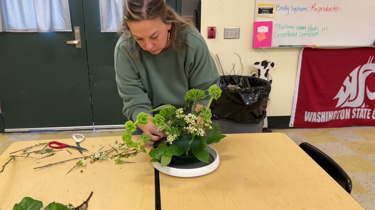 Linear arrangement, beginning spring 2025