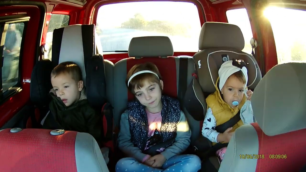 Ionel Nistor Vlog  #IonelNistorBlog #ApisInes #IonelNistor