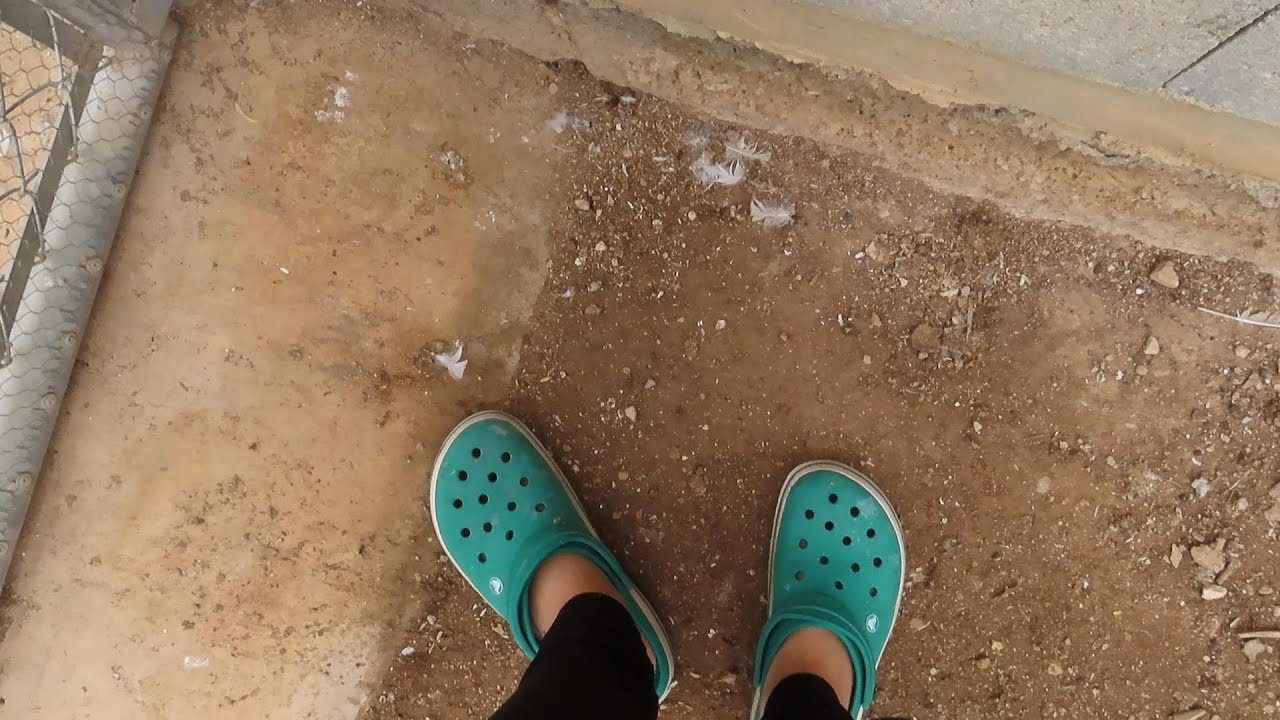 MI ULTIMO DIA en la GRANJAVIARIO