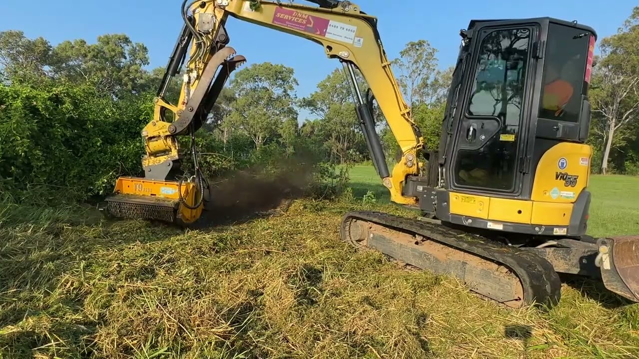 DNM Services Mackay, FEMAC & Yanmar attacking more Lantana, I show you the structure of this pest.