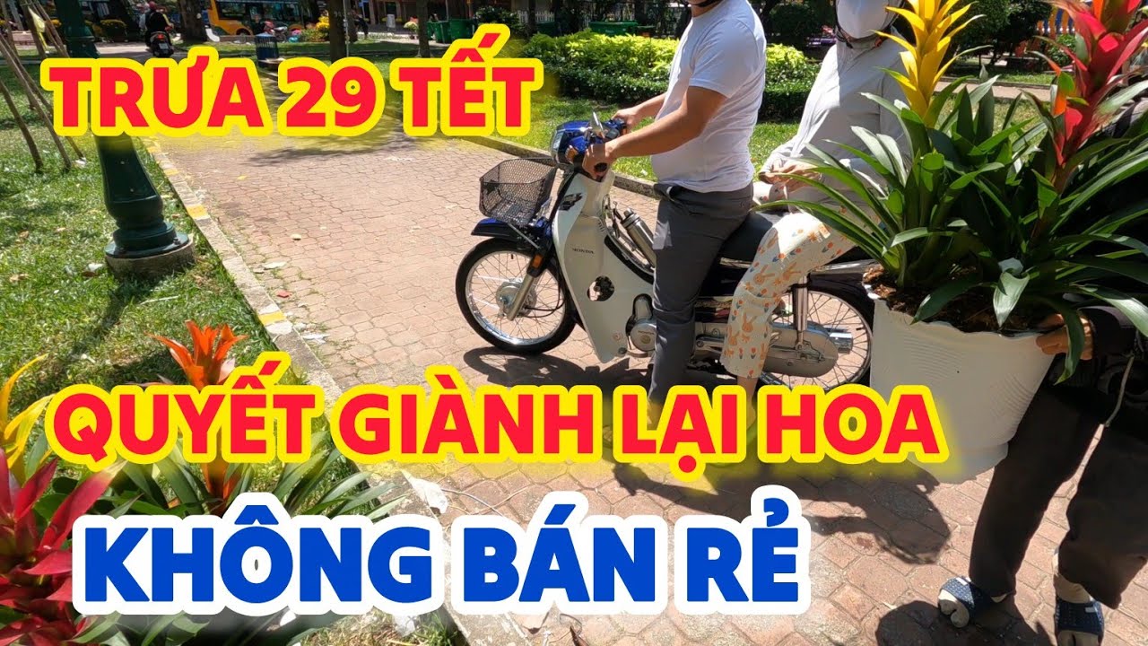 TRƯA 29 TẾT tiểu thương QUYẾT GIÀNH LẠI HOA chứ không chịu bán giá rẻ tại CÔNG VIÊN 23 THÁNG 9