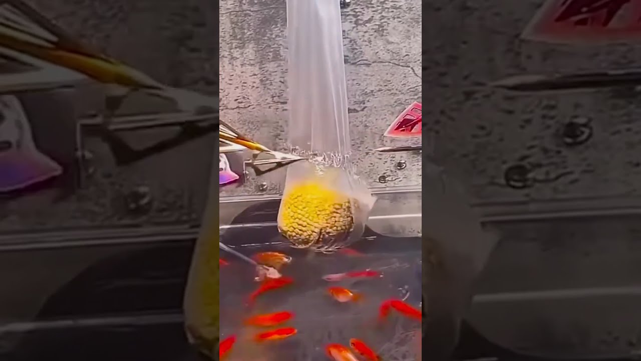 Прямая трансляция пользователя Кино-Рвач