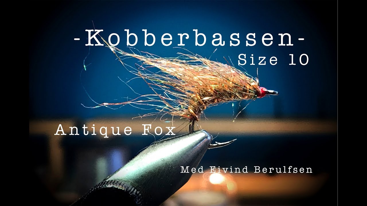 Kobberbassen Antique Fox, size 10. Med Eivind Berulfsen.