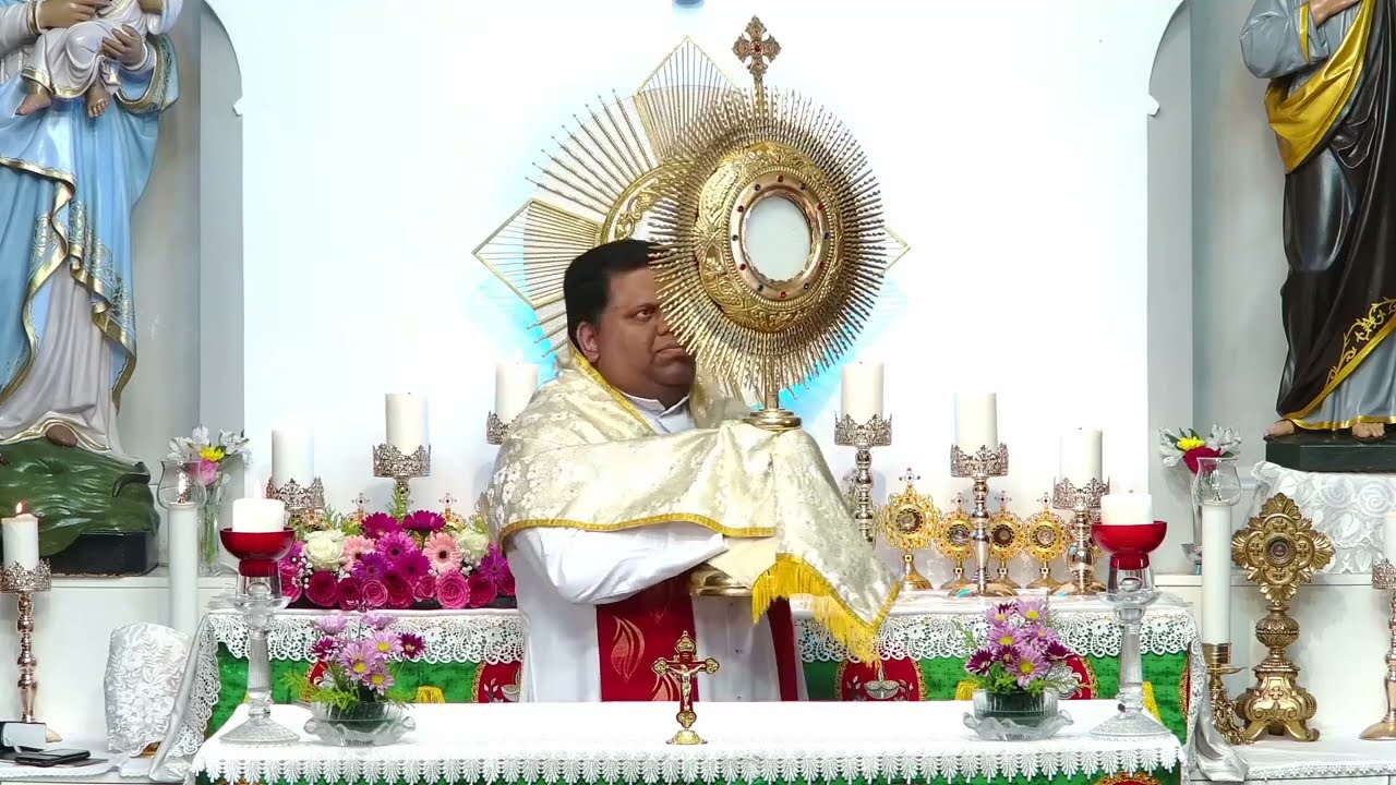 Daily Morning Blessing, Word of God & Prayer to Rosa Mystica