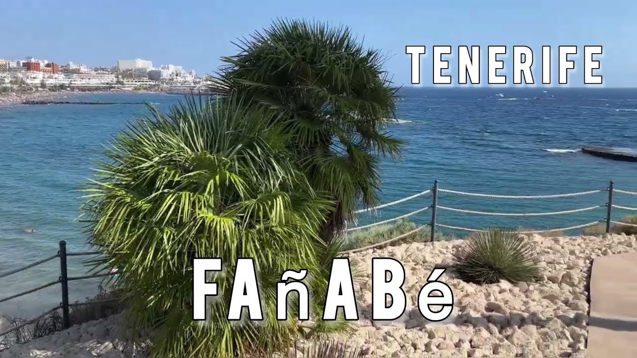 🌍 Tenerife. Paseo Mar&iacute;timo de Playa de Fa&ntilde;ab&eacute;. Costa Adeje. Spain. 4K
