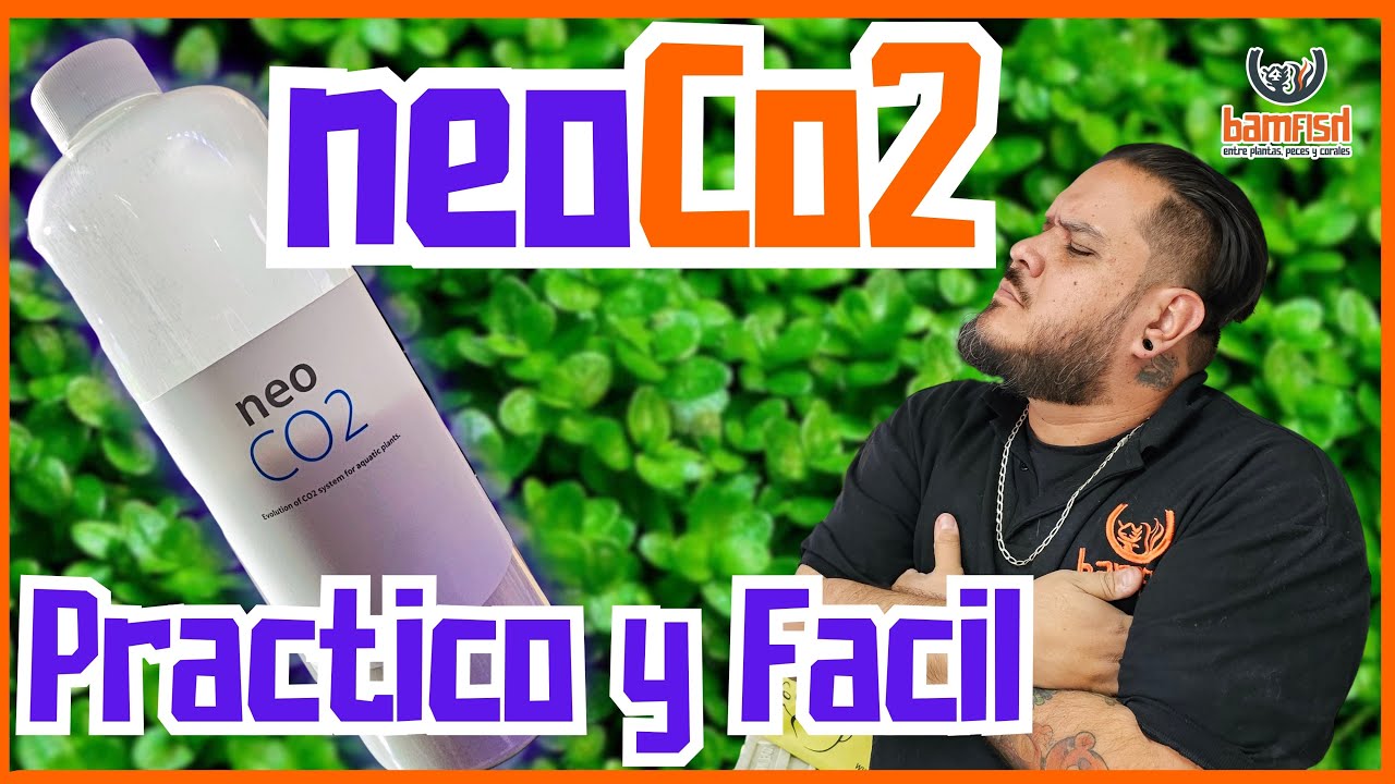 Neo Co2 Facil y Practico de Montar