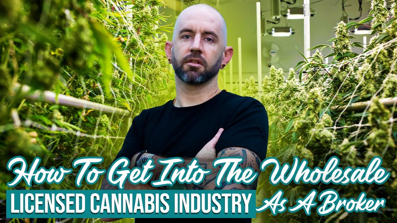How To Get Into The Wholesale Licensed Cannabis Industry As A Broker