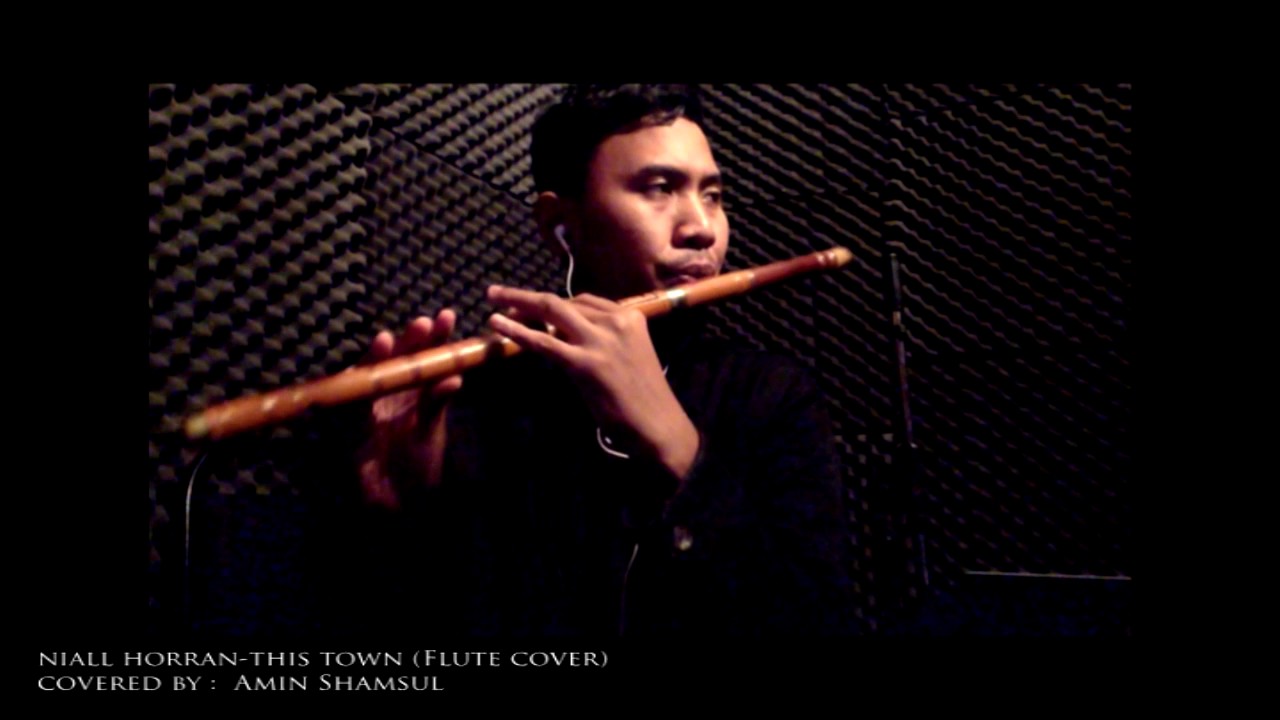 This Town-Niall Horan (Cover Flute)